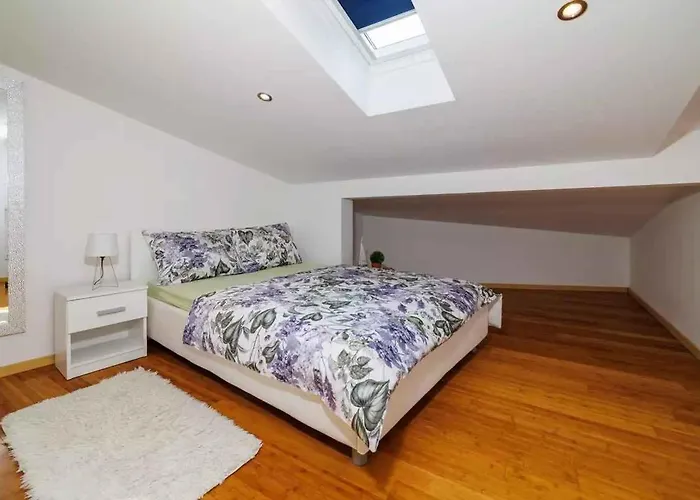 In 50553 Apartman *
